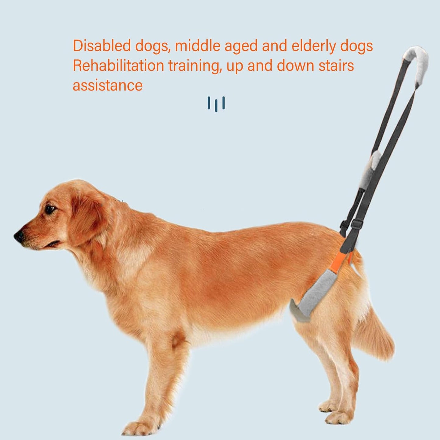 2Pcs Sling for Dogs Back Legs, Soft Dog Hind Leg Support Harness with Adjustable Buckle, Webbing Dog Support Sling, Flexible Dogs Back Leg Harness, 15.75in-27.56in, Black