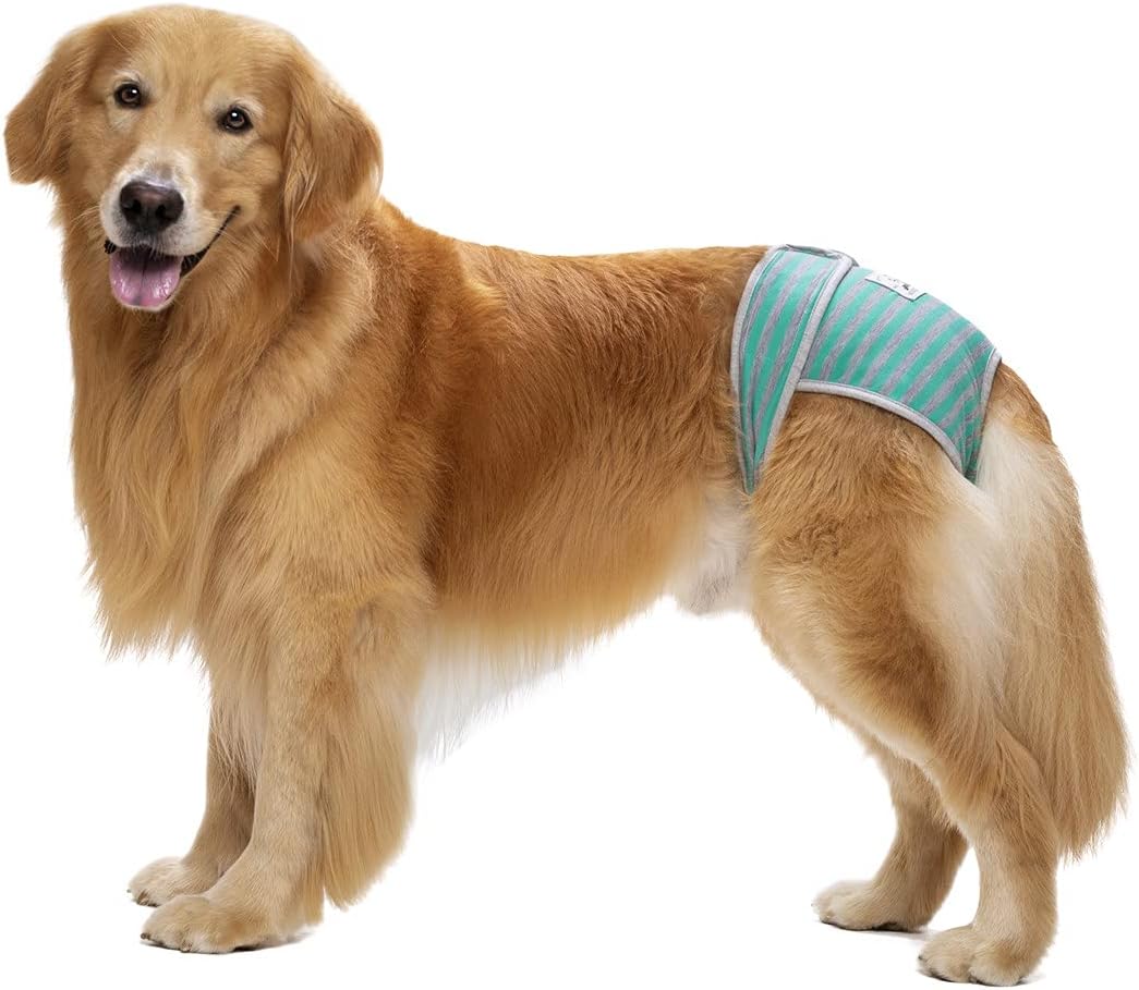 3 Pack Reusable Dog Diapers Female Large Medium Breed, Female Dog Diapers for Heat, Incontinence,Doggie Diapers for Female Dogs with Velcro Adjustable Waistline for Female Dog Washable Extra Large