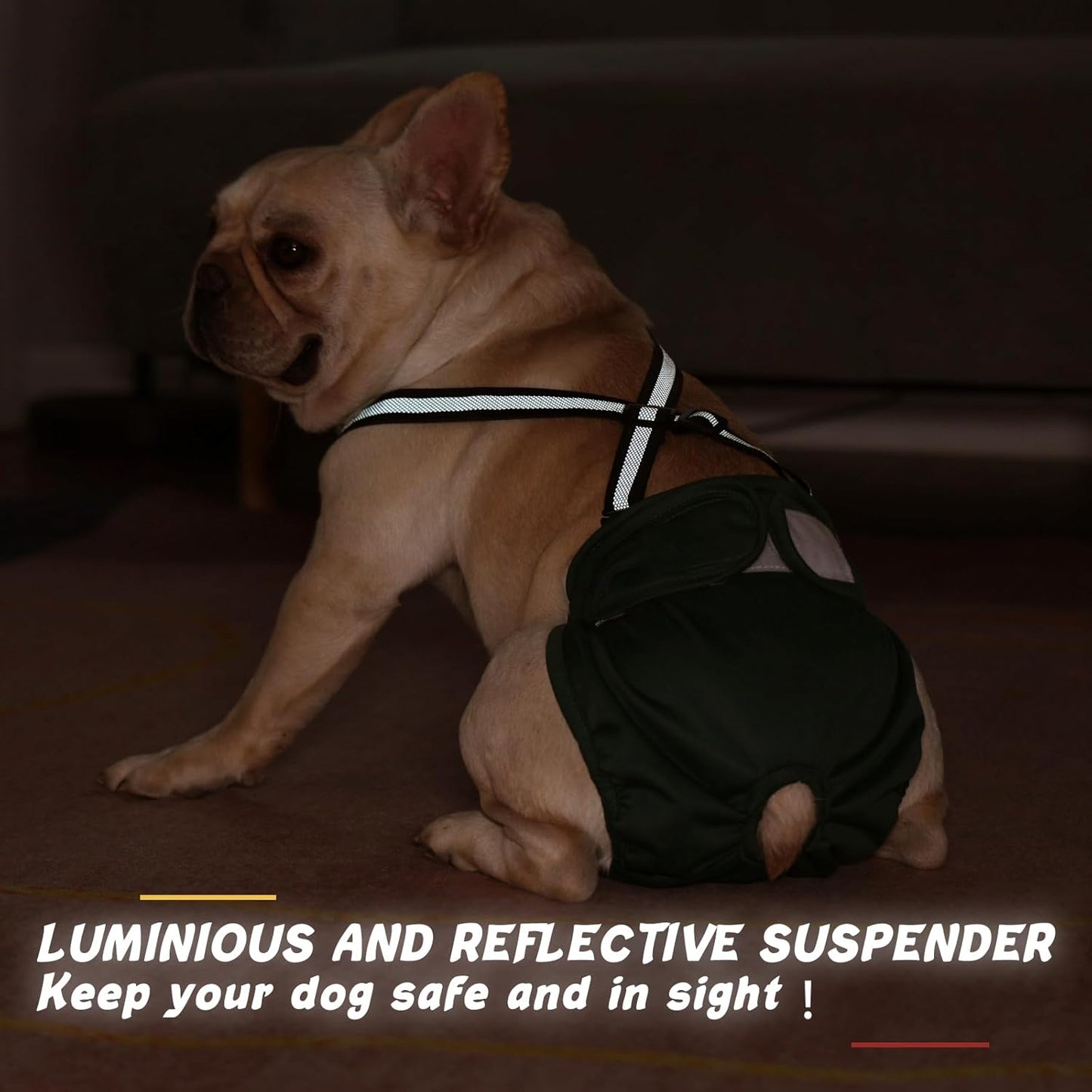 Female Dog Diaper with Suspender Detachable，3 Pack Reusable Washable Durable Girl Doggie Diapers Pants for Small Medium Large Dog in Heat Cycle and Incontinence Period,DDFS01S