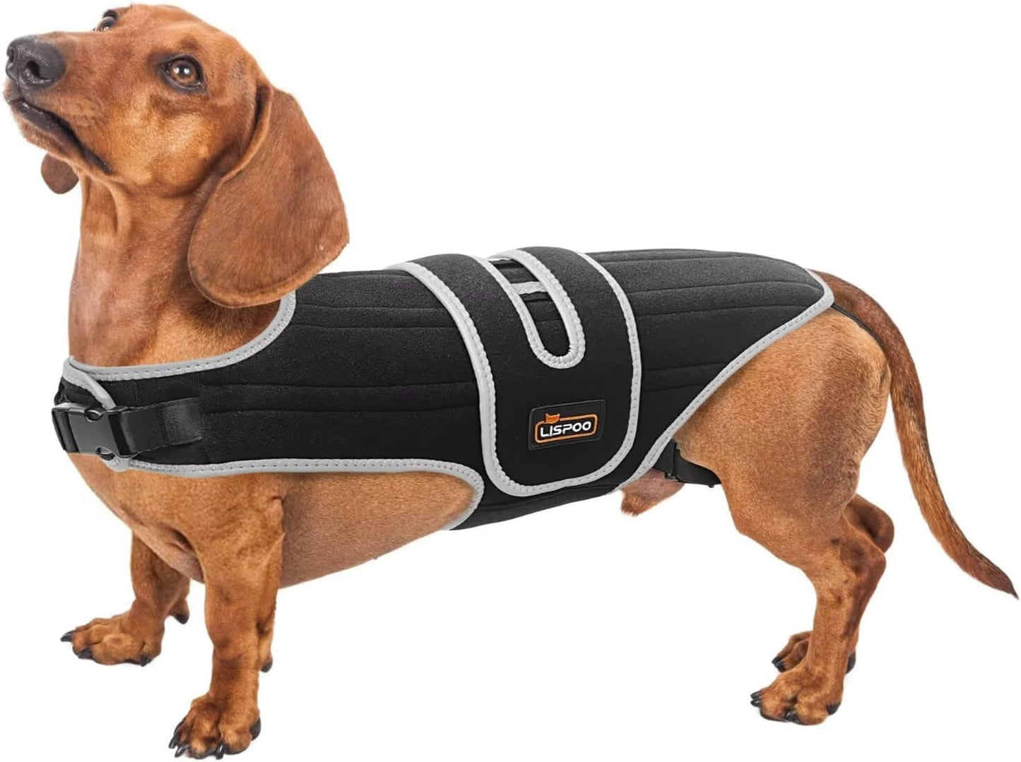 IVDD Dog Back Brace for Dachshunds & Slipped Disc | Post-Surgery Support & Arthritis Relief | Vet-Recommended Dog Back Brace | Breathable with Support Rods & Straps, Size XS