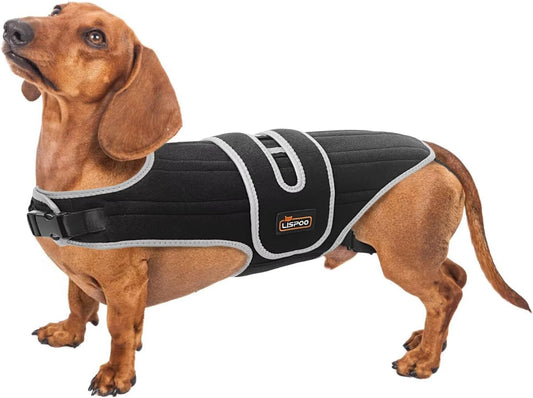 IVDD Dog Back Brace for Dachshunds & Slipped Disc | Post-Surgery Support & Arthritis Relief | Vet-Recommended Dog Back Brace | Breathable with Support Rods & Straps, Size XS