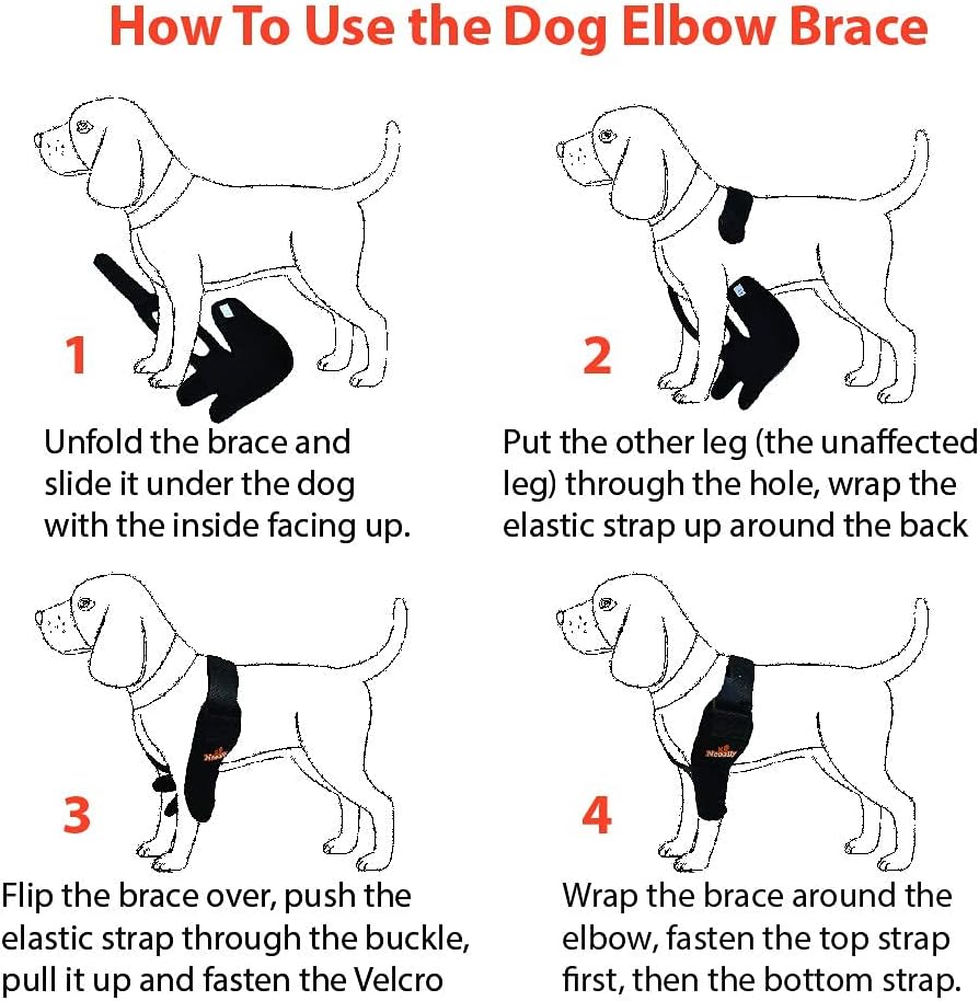 NeoAlly Dog Elbow Brace Protector Pads for Canine Elbow and Shoulder Support Elbow Hygroma, Dysplasia, Osteoarthritis, Elbow Calluses, Pressure Sores and Shoulder Dislocation (Right Leg, Large)