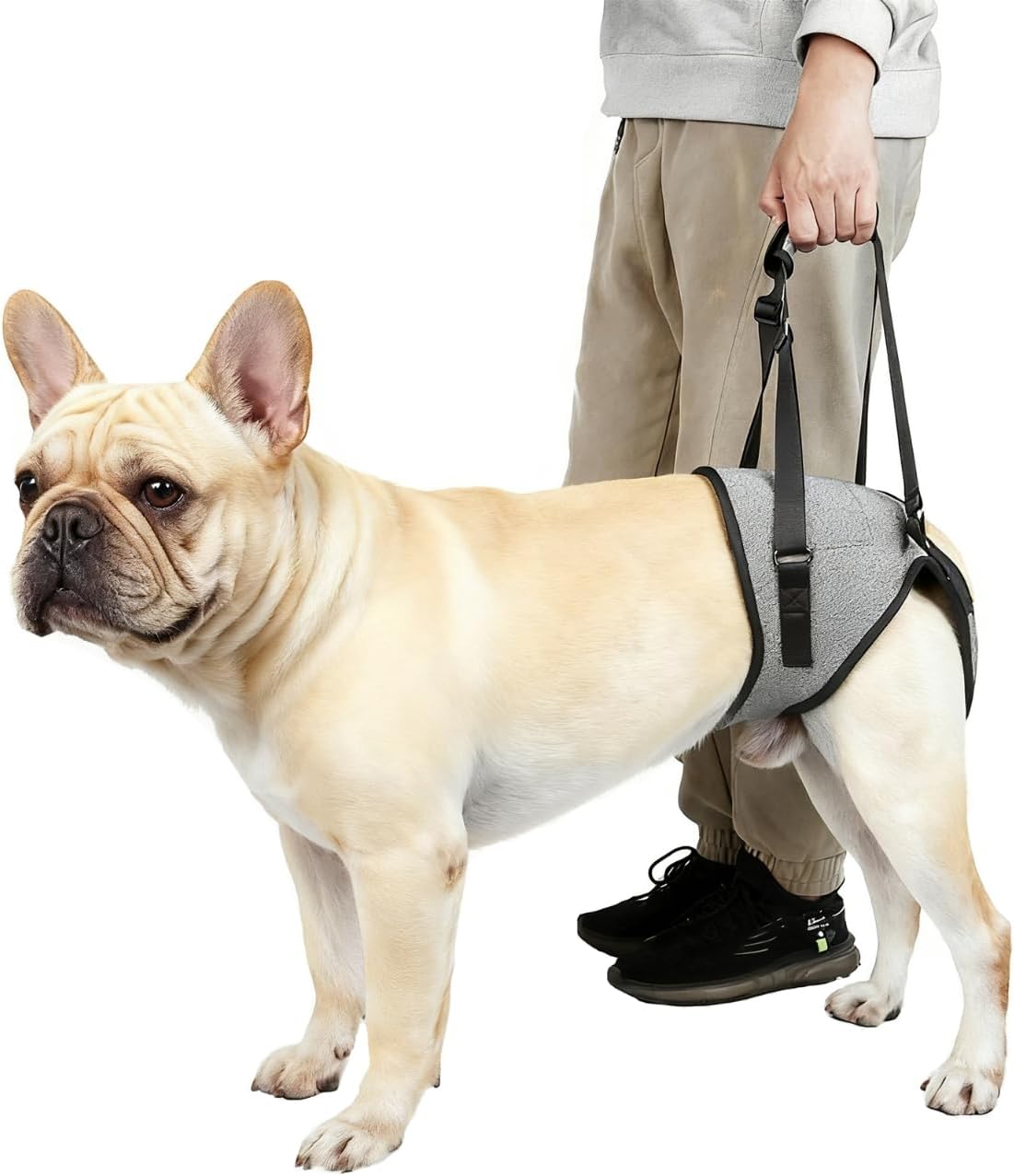 Dog Lift Harness for Dogs, Support Harness for Back Legs, Adjustable Rear Support Harness Grey Large