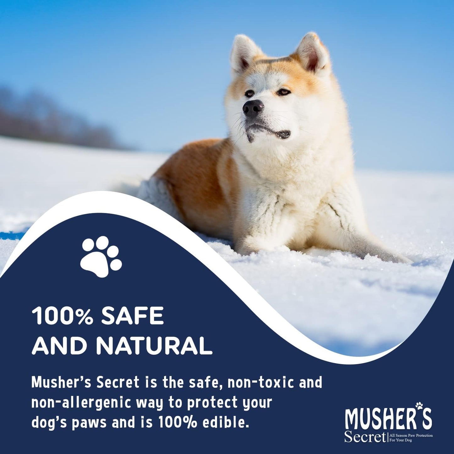 Musher’s Secret Dog Paw Wax 200g – Natural Paw Balm for Dogs with Vitamin E – Helps Protect Paws from Hot Pavement, Ice & Salt – Moisturizes Cracked Pads – Lick-Safe, Non-Toxic Dog Paw Protector