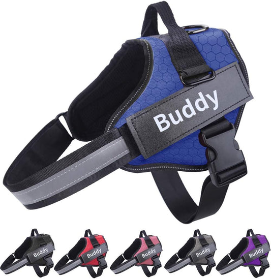 HOTGOL Personalized Dog Harness, Custom No Pull Pet Vest with Name and Phone Number to Prevent Tugging, Pulling, or Choking, Training and Walking(Blue,M)