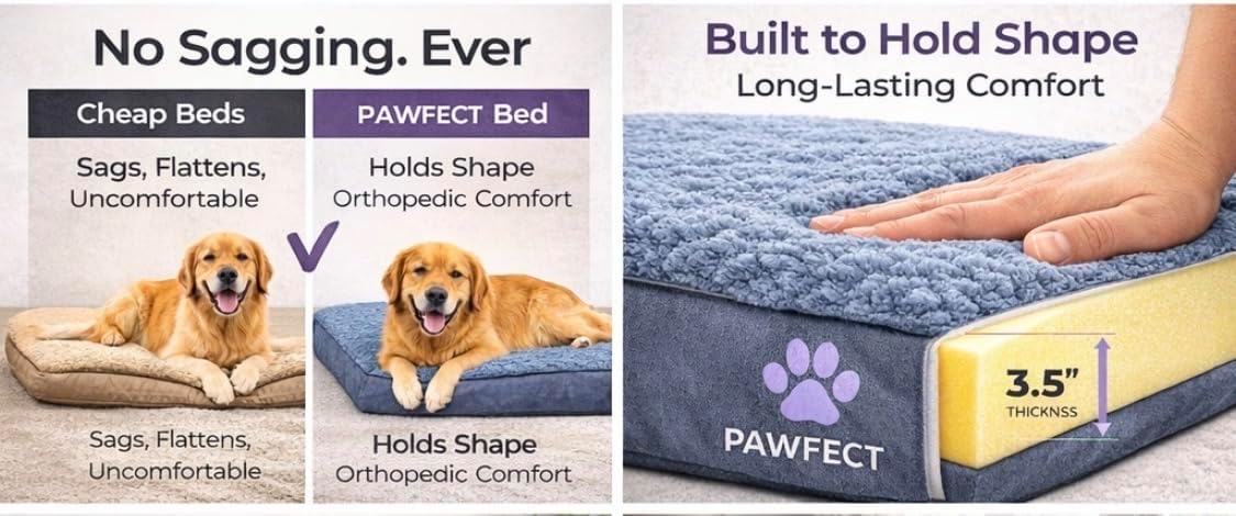 Orthopedic Dog Bed, X Large, Gray, Plush Cover, Removable Washable Cover, Water Resistant Bottom, Supportive high Density Foam (42X30x3.5) Size