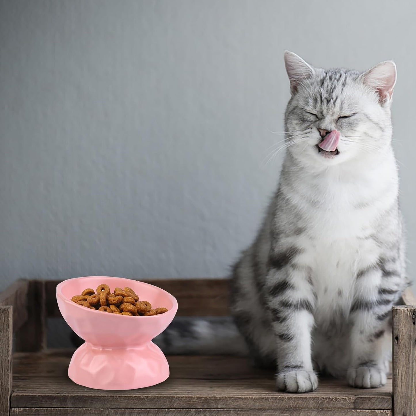 Milisten Elevated Ceramic Cat Feeding Bowl Small Pink Pet Food and Water Feeder Neck Protection Raised Dish for Indoor Cats