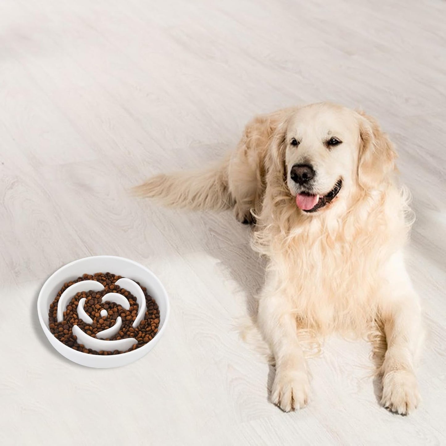 Slow Feeder Dog Bowls, 7.6inch Ceramic Dog Bowls, Fun Slow Eater Bowl for Small Medium Breed, Maze Puppy Slow Feeder for Fast Eaters to Control Eating, White