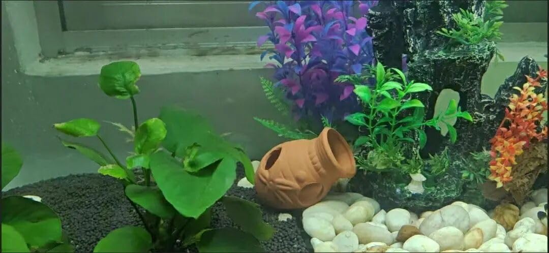 Ceramic Shelters, 2 pcs, Fish Tank Accessories, Fish House, Swim Holes Aquatic, Aquarium Cave for Freshwater and Saltwater Fish Tank, Pets to Breed, Play and Rest Decor (Pot)