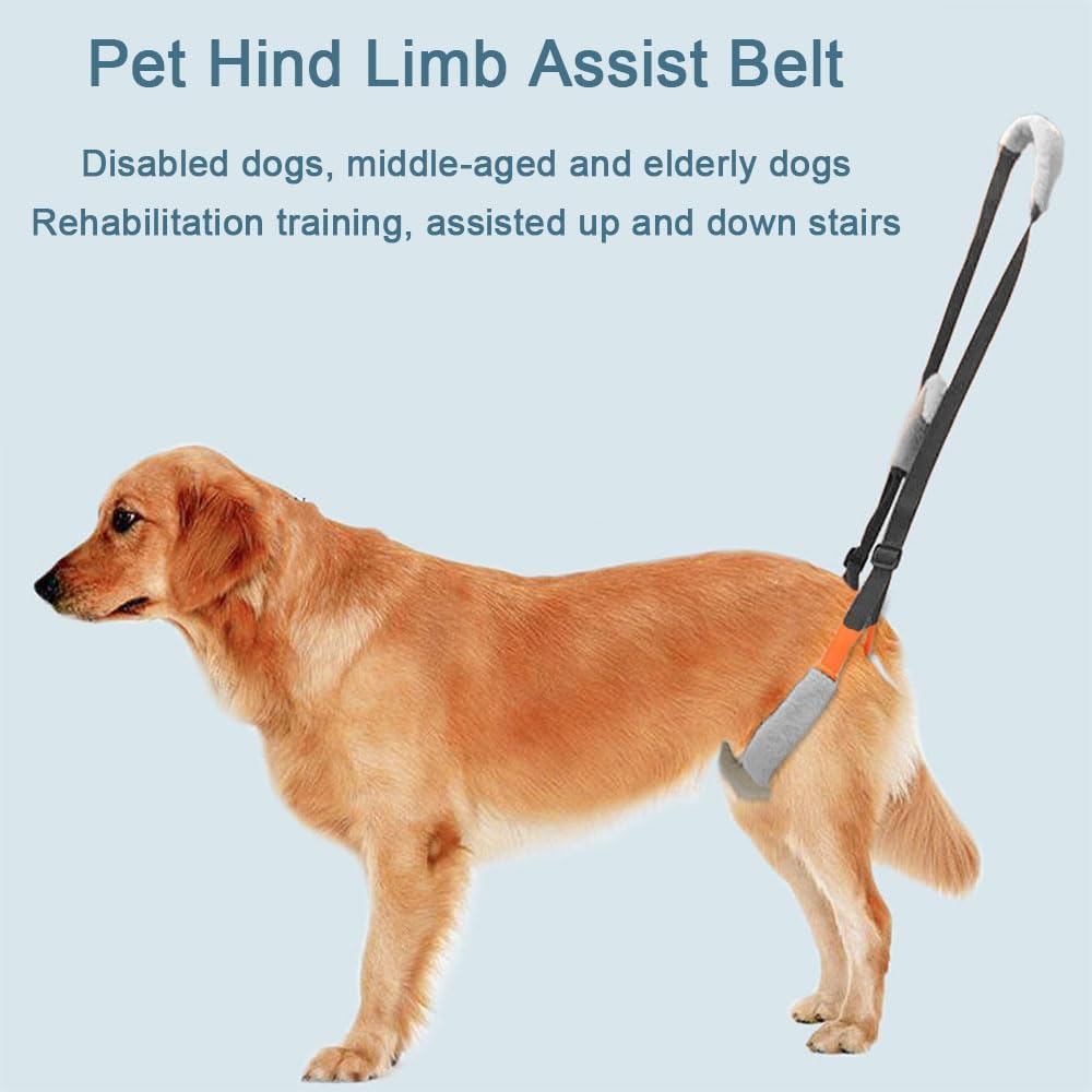 2Pcs Dog Mobility Aids for Walking, Pet Support Harness for Back Legs Disabled Injured Pets Adjustable Easy to Wear Hind Leg Sustain Tool