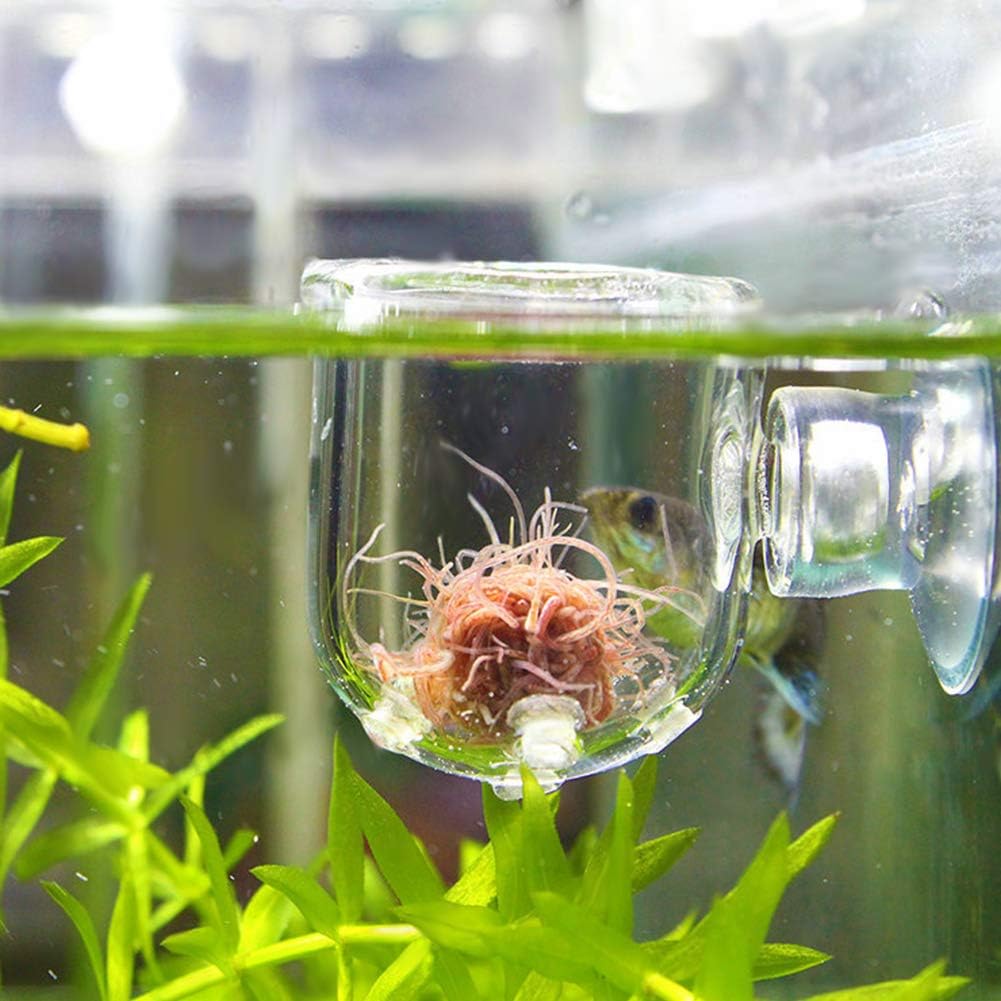 Fish Tank Feeding Cup, Aquarium Red Worm Food Container, Glass Feeder with Suction, Transparent Bowl for Feeding Shrimp Fish Reptiles (Glass Hole Cup)