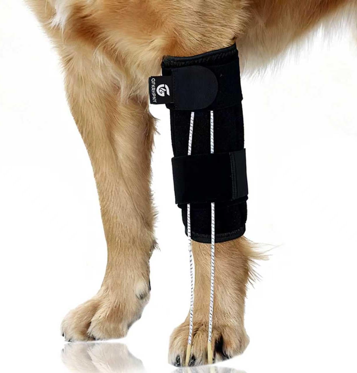 Dog Front Leg Support Brace for Foot Drop, Canine Knuckling Prevention, Toe Dragging Assistance