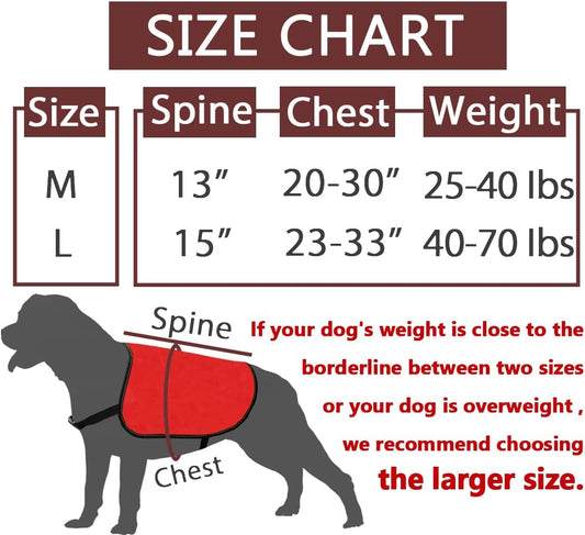 JXGZSO Training Ignore Do Not Stare Dog Jacket Vest Dog in Training Nervous Anxious Dog Slogan Warning Vest (Training - Stare M)
