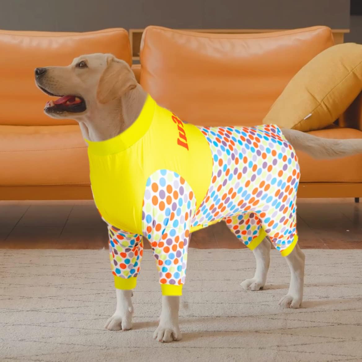 LovinPet Pet Recovery Suit for Dogs, Post Operative Jumpsuit for Dogs Apparel, Dog Onesie as Bottoming Under Dog Coats, Breathable & Elastic Hanging Out Diddly Dot Sky Prints Pajamas for Big Dogs