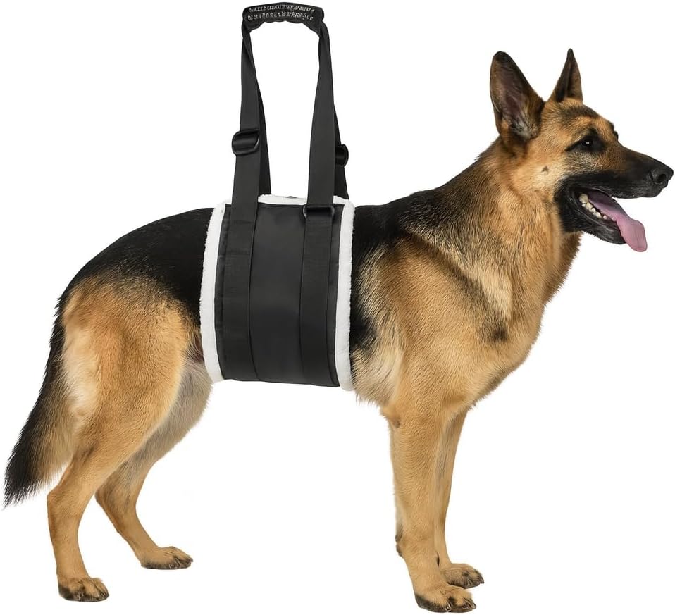Adjustable Dog Lift Harness – Rear Leg Support Sling for Large Dogs | Mobility Aid for Senior, Injured & Post-Surgery Pets, ACL Surgery Dogs | Soft, Durable & Comfortable