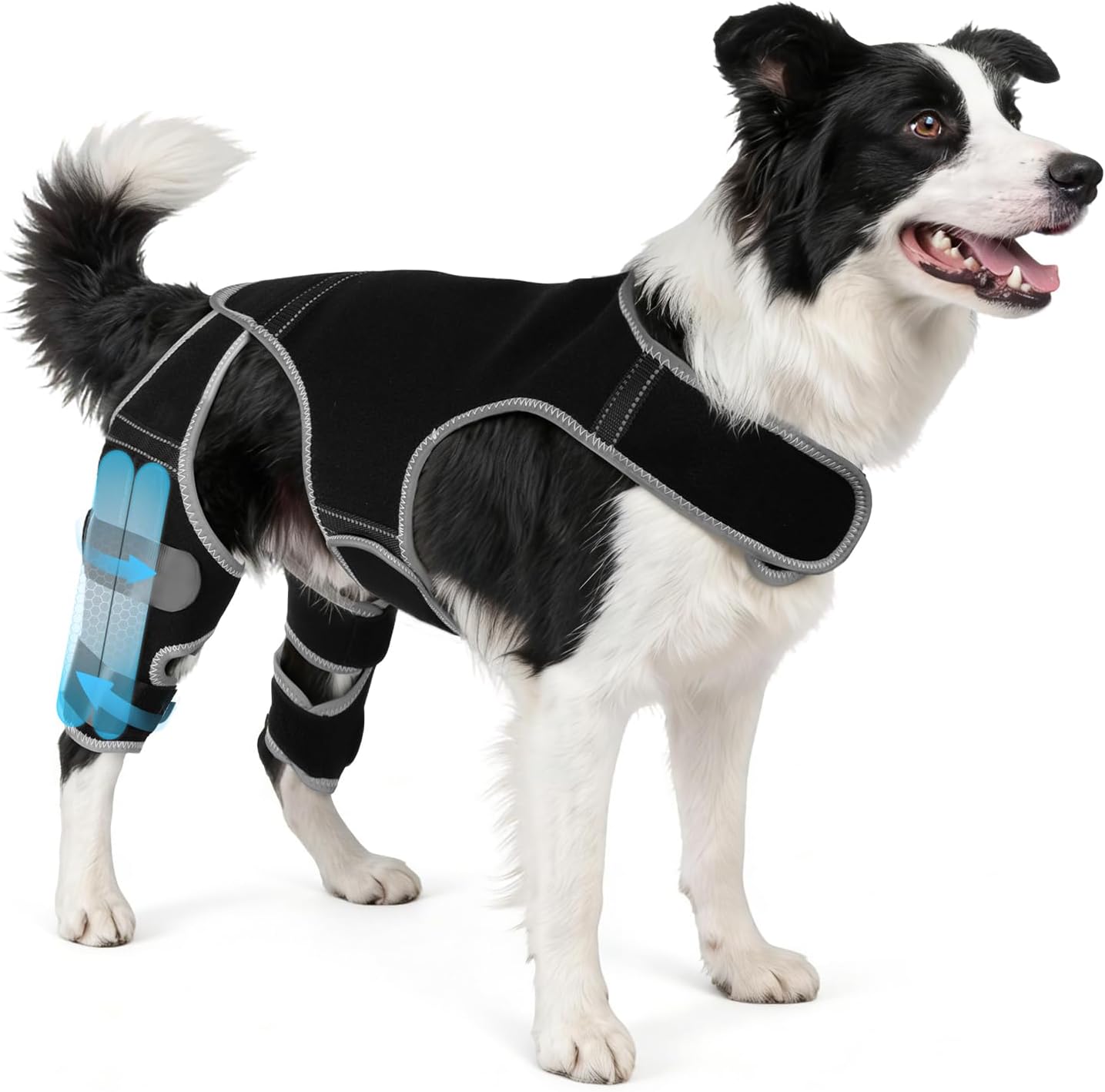 Dog Leg Braces for Torn ACL Hind Leg, Adjustable Dog Knee Brace with 4 Stabilizers, for Dogs with Torn ACL/CCL, Luxating Patella, Ligament Issues & Hip Dysplasia, Small to Large Dogs (M)