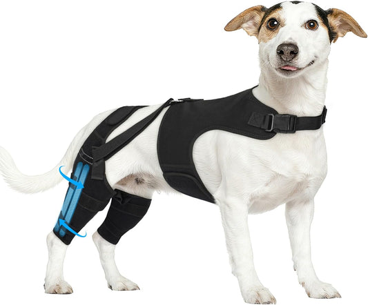 Dog Knee Brace for Back Leg, Adjustable Dog Leg Brace with 4 Stabilizers, Hip Support to Reduces Pain, Ligament Injuries & Luxating Patella & ACL CCL for Small Medium Large Dogs