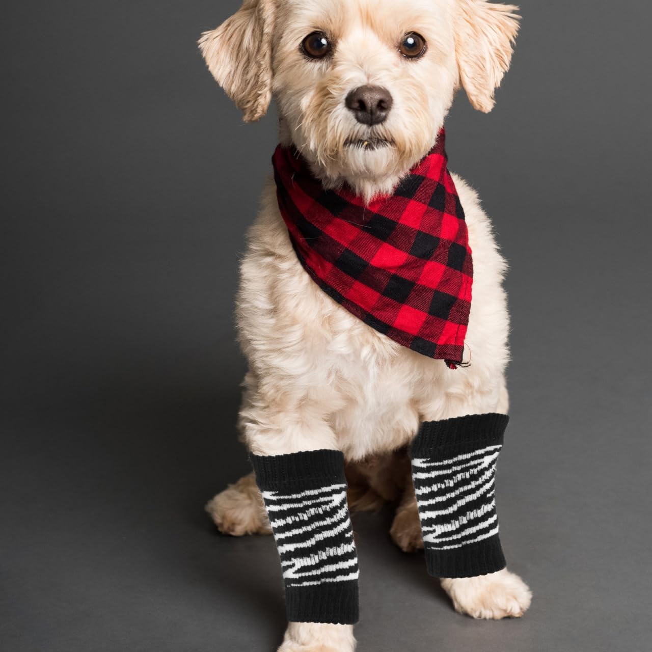 Sosoport Dog Leg Warmers for Small Dogs - Washable Pet Socks with Breathable Cotton Fabric Adorable Patterned Elbow Protectors for Winter Paw Care and Outdoor Use 4 Pack