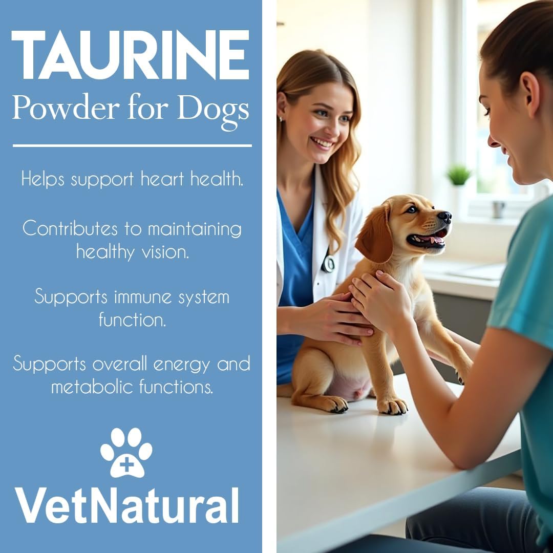 Doggy Supps Taurine for Dogs, 99.99% Pure Taurine Powder – Immune Support, Boost Energy, Skin & Coat Health for Heart, Vision & Daily Wellness – Easy to Mix in Food, Includes Measuring Spoon