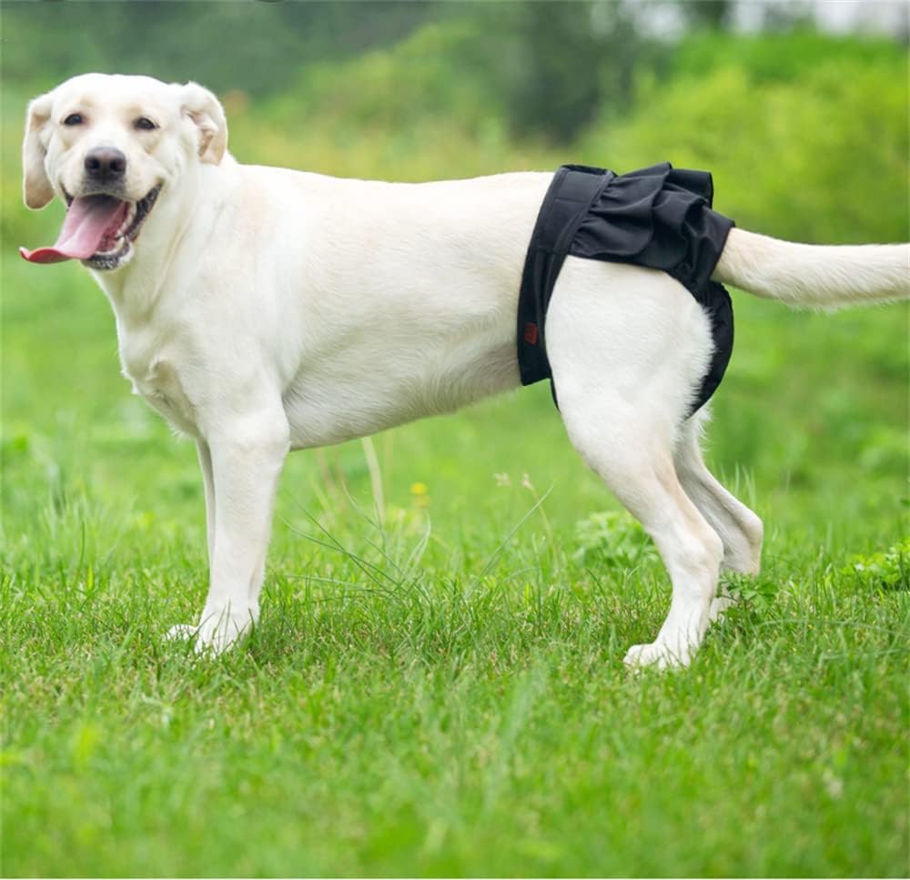 Dog Diapers for Female Dogs 3 Pack Washable Dog Panties Diaper Skirt Puppy Shorts Diapers for Girl Dog in Period Heat