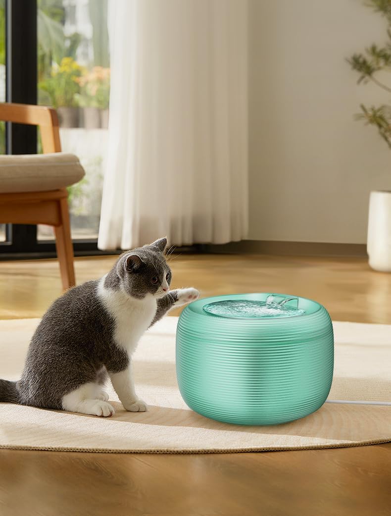 2.5L/85oz Translucent Fountain Water Bowl Drinking Dispenser Pet Waterer for Cats Dogs (Green, Medium)