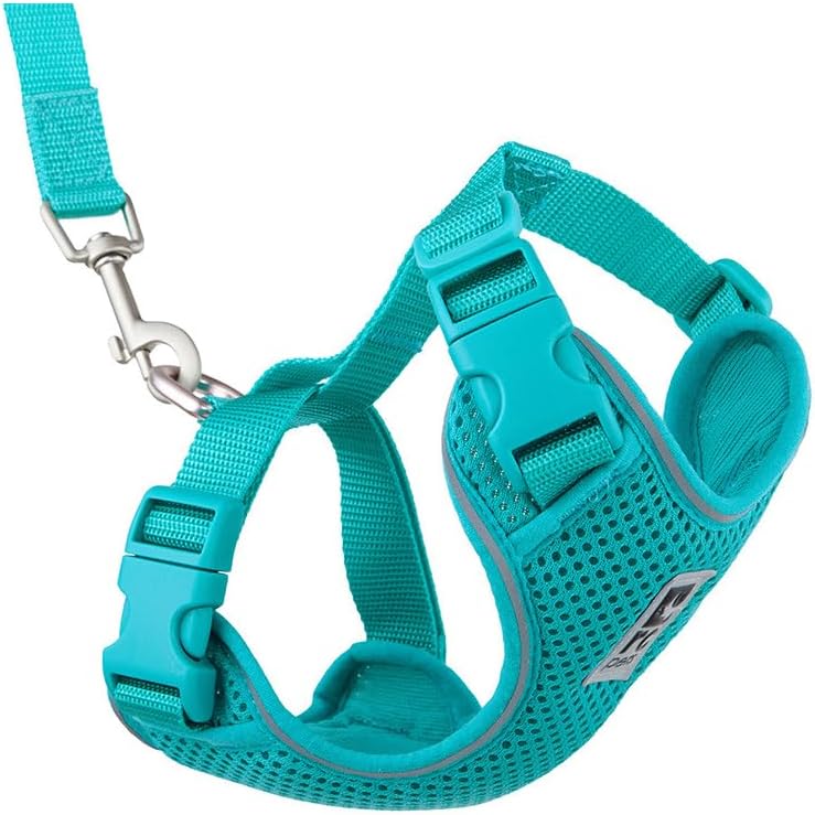 RC Pets Adventure Kitty Harness Includes Adjustable, Airmesh Fabric, 6' Leash and D-Ring Cat Walking Harness | Teal, Medium
