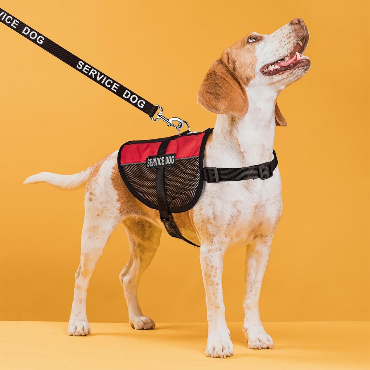 Dogline Service Dog Vest Harness Bundle Official Red Service Dog Reflective Leash & Patches Service Dog in Training Set Service Dog ADA IDs with Lanyard for Travel Support Therapy Dogs