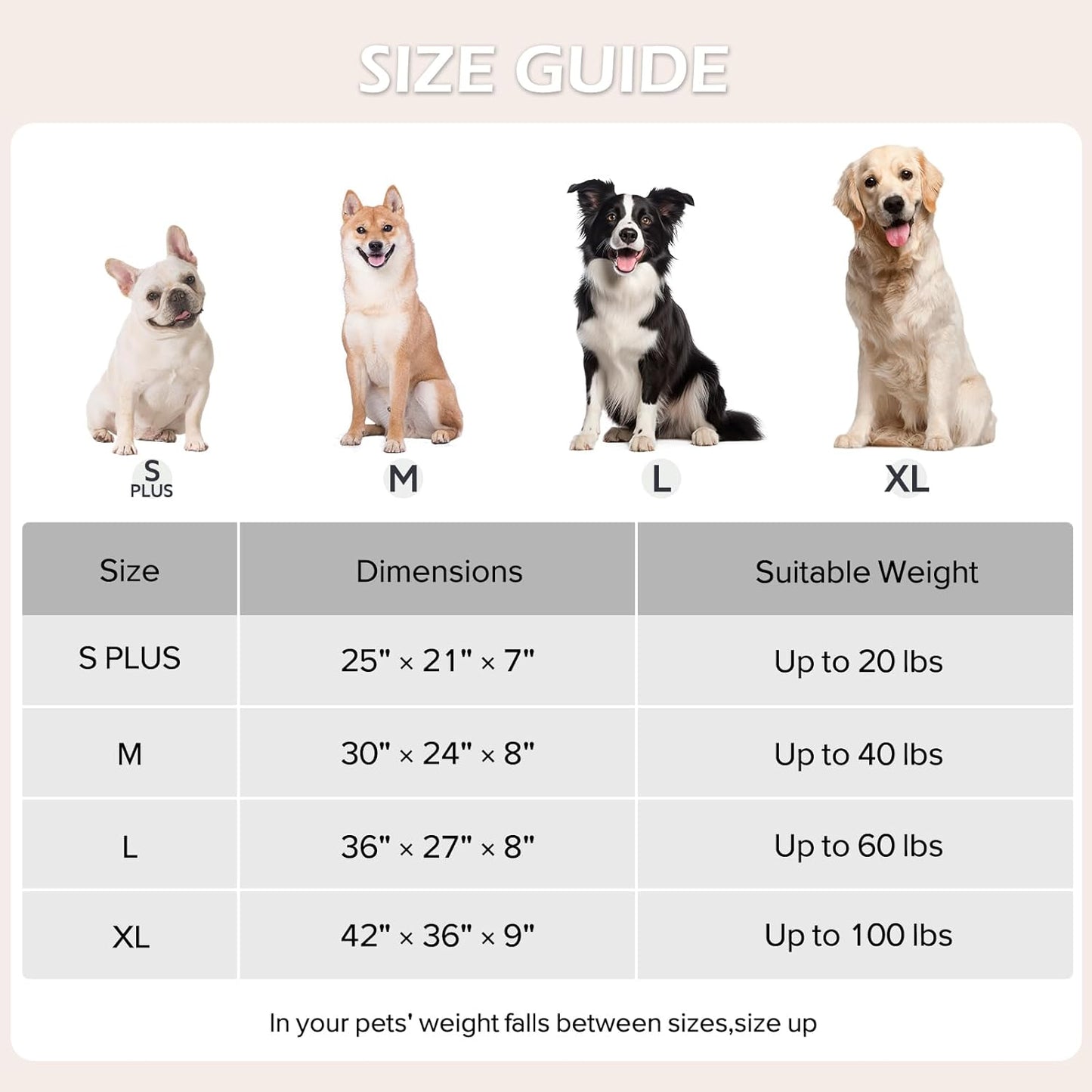 JOEJOY Small Dog Bed for Small Dogs, Rectangle Washable Orthopedic Dog Bed with Removable Zipper Cover, Cute Soft Calming Puppy Pet Bed with Jacquard Shaggy Plush & Non Skid Bottom
