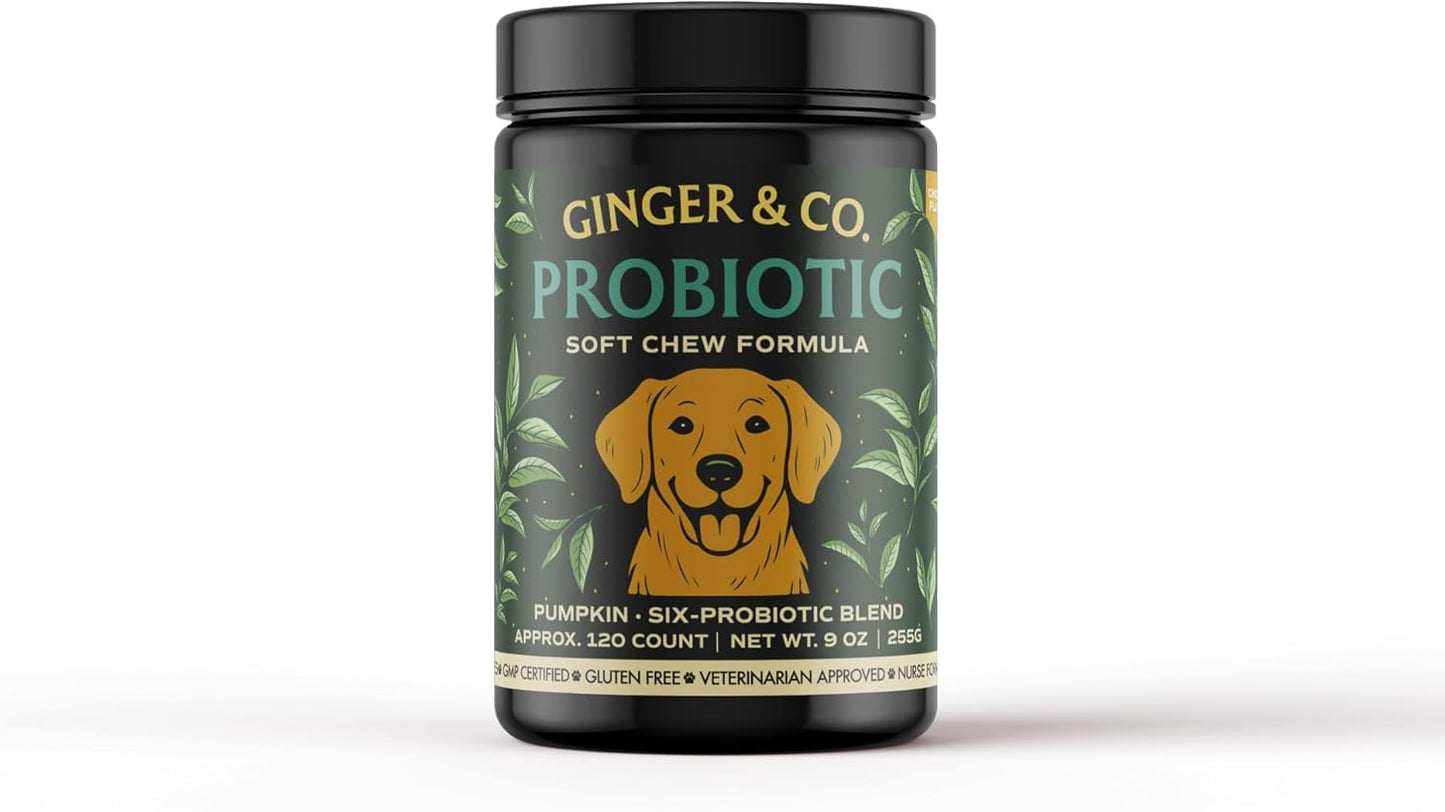 Ginger & Co Dog Probiotic Chews – Digestive Support for Loose Stool, Gas & Sensitive Stomach – Pumpkin, Enzymes & 1 Billion CFU Probiotics – Cold Pressed, No Fillers – Made in USA ~ 120 Chews