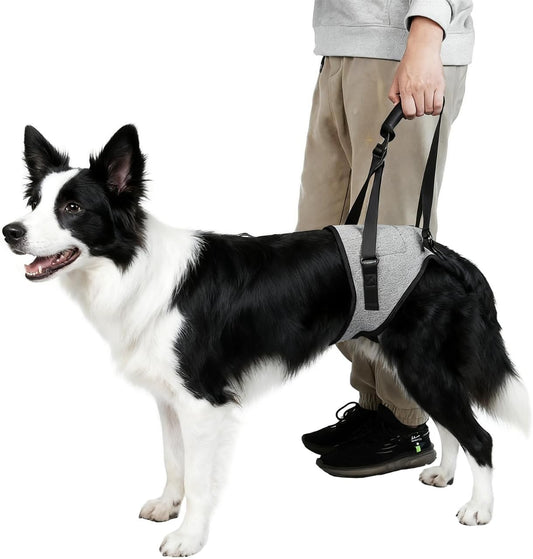 Dog Lift Harness for Dogs, Support Harness for Back Legs, Adjustable Rear Support Harness Grey Large