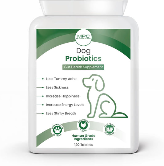 Dog Probiotics | 5-Strain 2 Billion CFU + Digestive Enzymes | Firm Stools, Less Gas & Bloating | Prebiotic Inulin + Full B-Complex Vitamins | Chicken Flavour Tablets | UK GMP | 120 Count