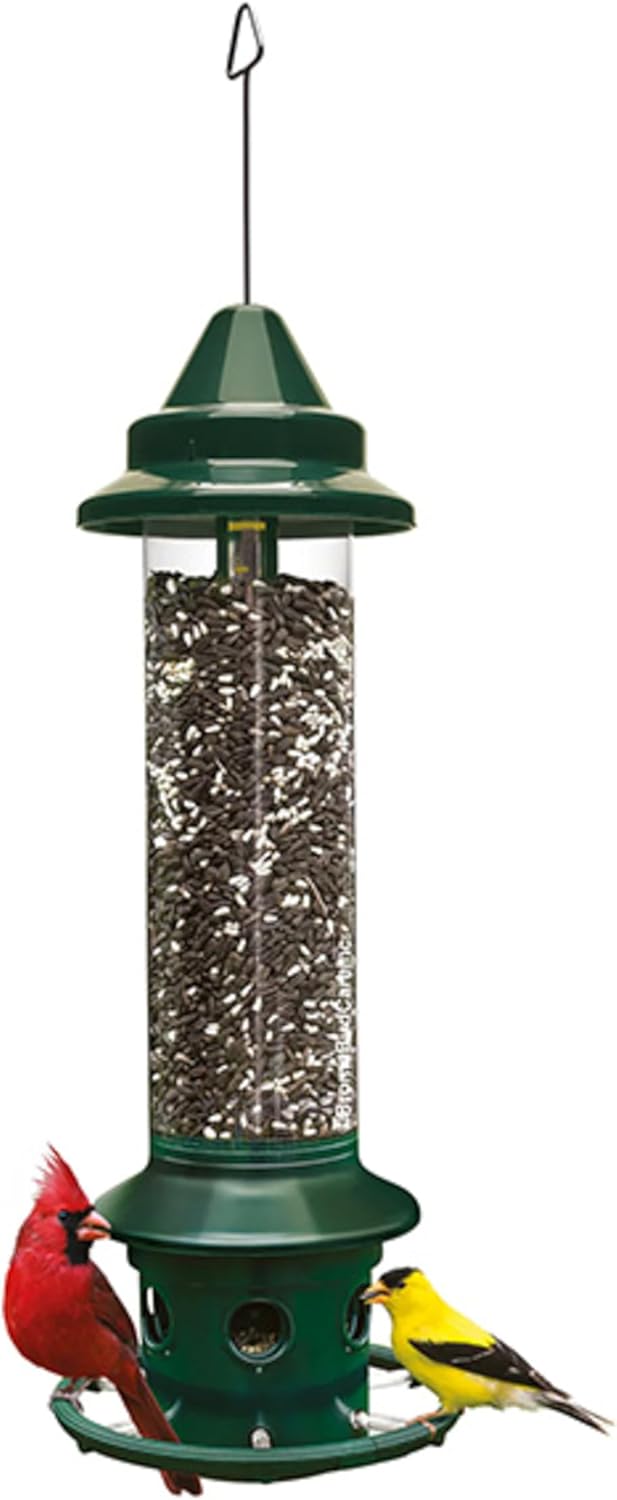 Brome,Squirrel Buster Plus 6"x6"x28" (w/hanger) Wild Bird Feeder with Cardinal Ring and 6 Feeding Ports, 5.1lb Seed Capacity, 2 Pack