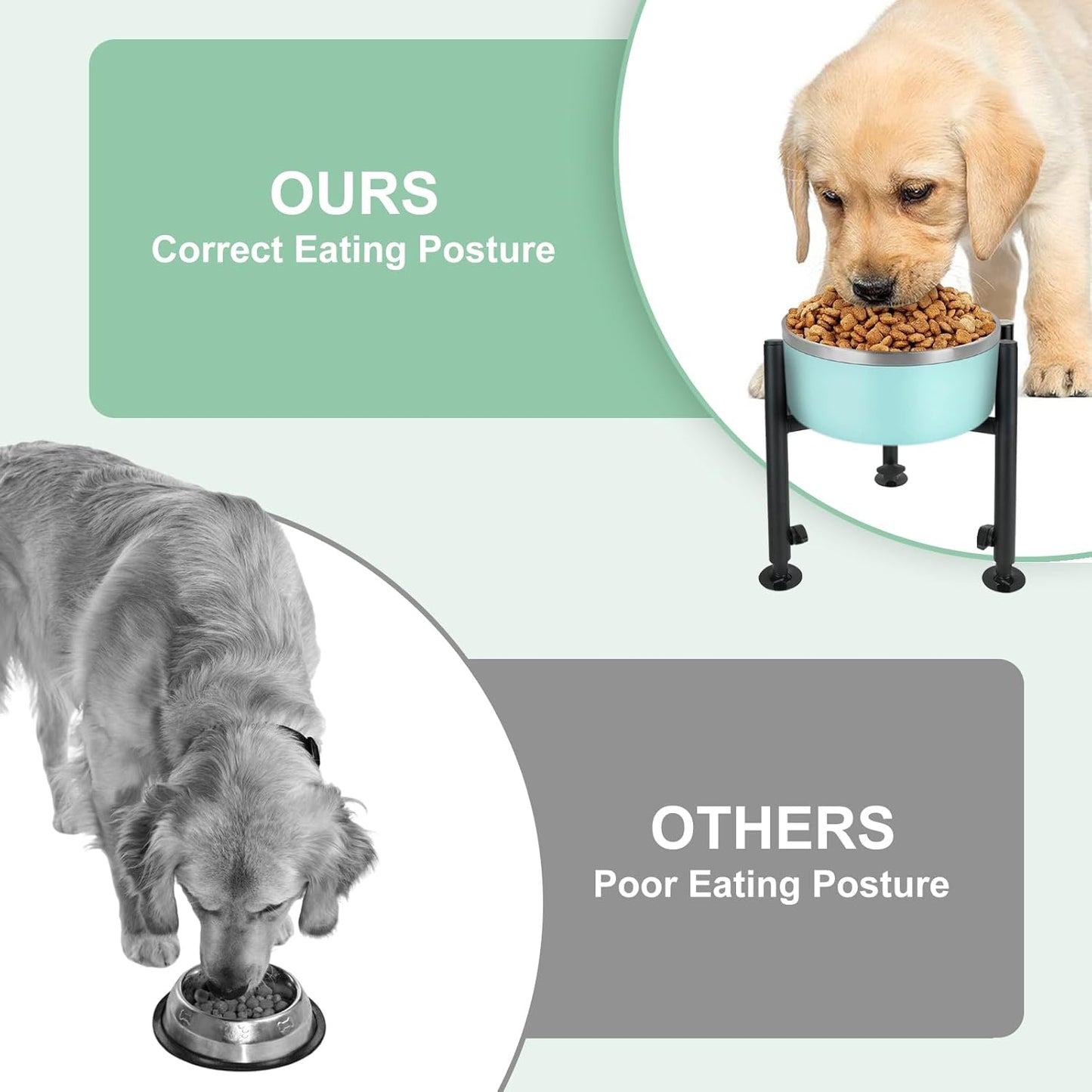 Elevated Dog Bowl Stand, 4 Height Adjustable Raised Dogs Bowls Stand Wide 6-10in, Dog Food Water Feeder Metal Pet Feeding Holder for Medium Large Breeds