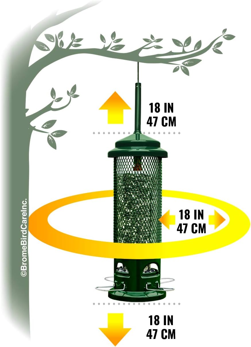 Squirrel Buster Legacy Squirrel-Proof Bird Feeder for Wild Birds – 4 Metal Removable Perches, 2.6 lb Seed Capacity, Chew-Proof Design, Easy to Clean, Green