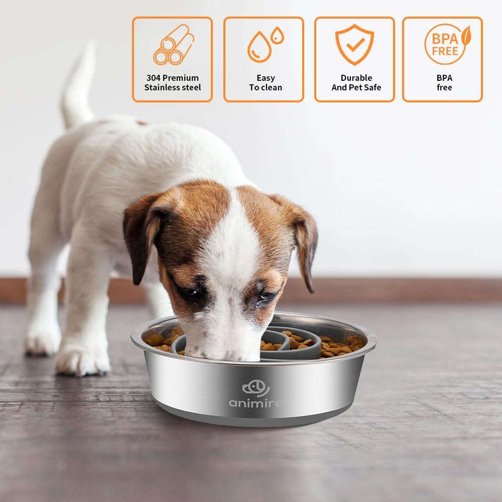 2-in-1 Metal Dog Bowl with Slow Feeder Insert, Stainless Steel Dog Bowls Food Grade 304, Water Food Bowl with Anti-Slip Silicone Base for Small, Medium, Large Dogs