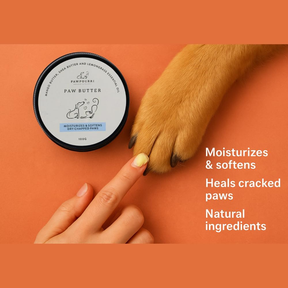 Paw Butter for Softening and moisturizing Dry and chapped Paws of Dogs and Cats | Enriched with a Blend of Mango Butter, shea Butter, and Lemongrass - 100g