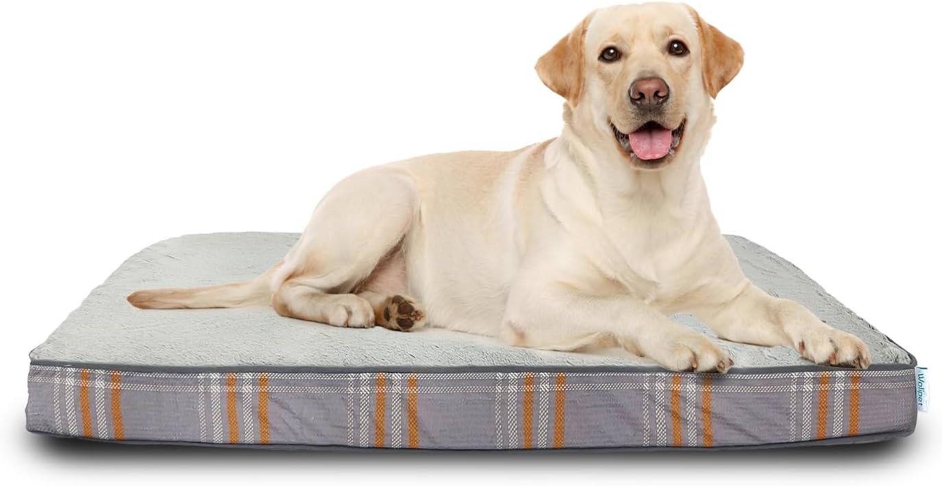 Orthopedic Dog Bed for Medium Dogs Dog Pillow Bed with Removable Washable Cover Egg Crate Foam Pet Bed Mat Plaid Pet Mattress Suitable for Dogs Up to 65lbs (35"x25"x3", M. Gray)
