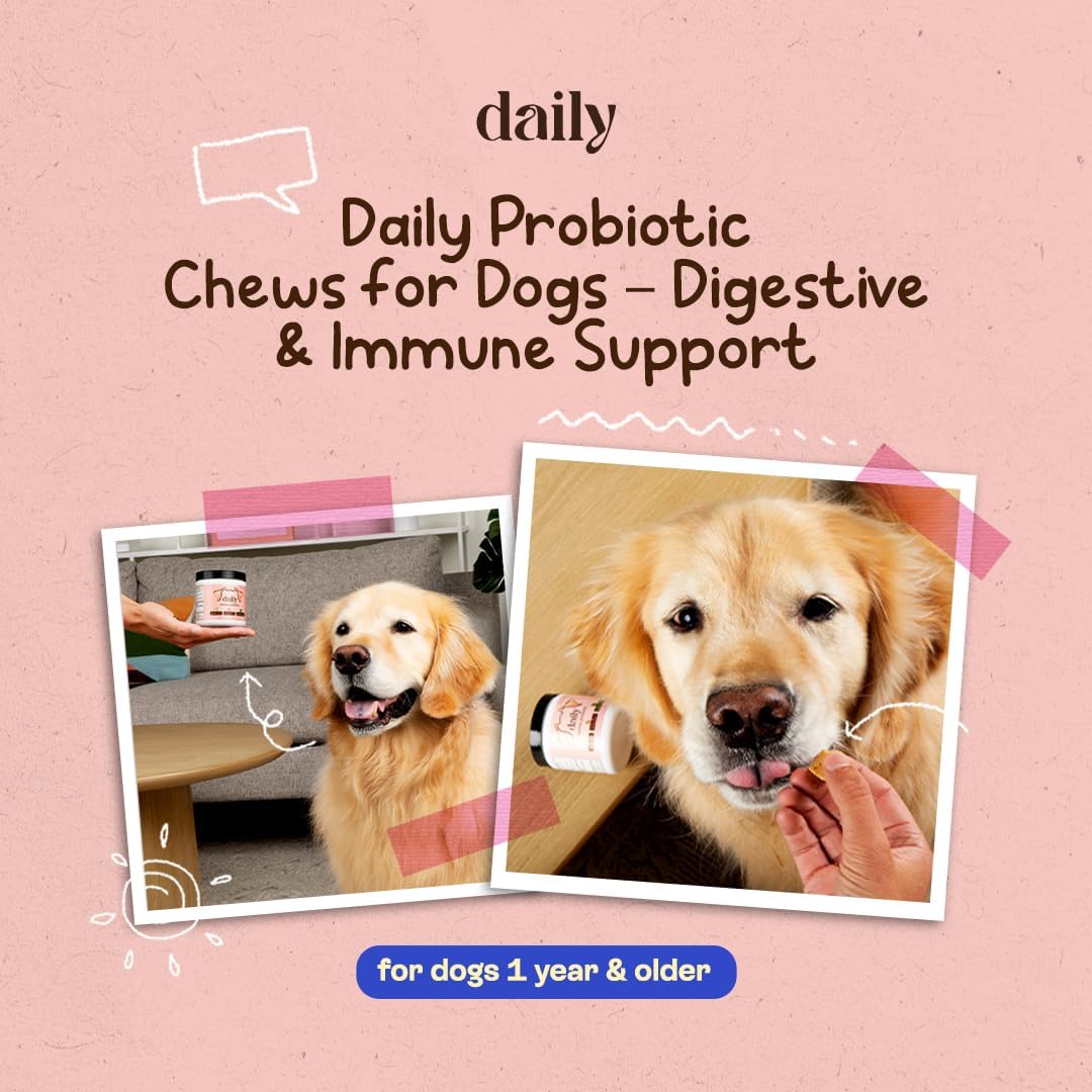 Probiotics for Dogs, Gut Health, Digestive Support & Occasional Diarrhea Relief - Turkey Flavor - 30 Soft Chews