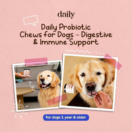 Probiotics for Dogs, Gut Health, Digestive Support & Occasional Diarrhea Relief - Turkey Flavor - 30 Soft Chews