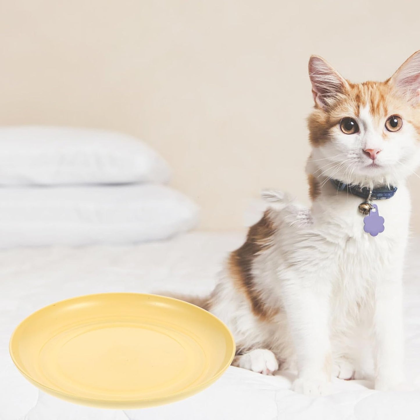 FAVOMOTO 8pcs Light Yellow Plastic Cat Bowls Set with Shallow Round Plates and Feeding Base, Anti-Whisker Fatigue Kitten Food Dishes for Indoor Small Cats and Short-Legged Pets