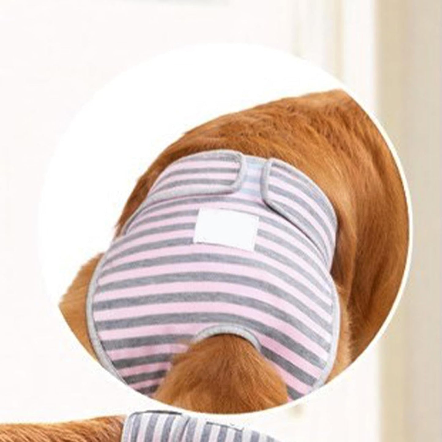 Dog Menstrual Pants Soft Adjustable Leakproof Comfortable Physiological Protection for Female Large Dogs Labrador Golden Retriever Polyester (S)
