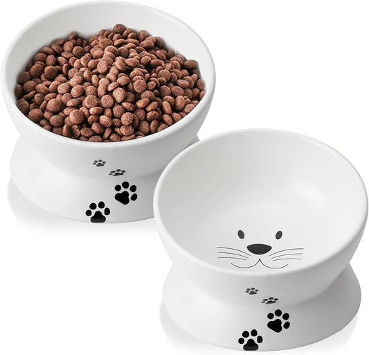 Cat Food Bowls, 10 OZ Elevated Cat Bowls for Cats and Small Dogs, Tilted Pet Feeder Bowl with Raised Stand Protect Cat's Spine, Ceramic Cat Water Bowl No-Spill, Stress Free Cat Dish 2pcs