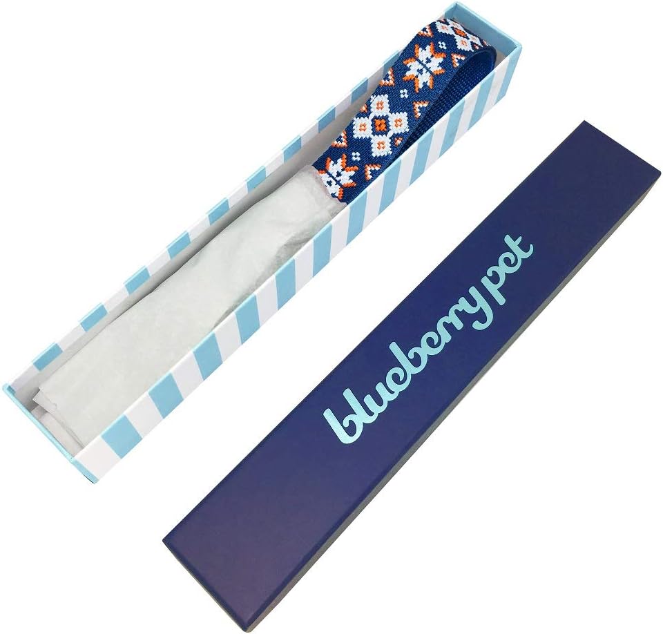 Blueberry Pet 3 Patterns Southwestern Modern Tribal Print Genuine Leather & Polyester Fabric Combo Dog Collar with Metal Buckle - Navy Braided, Small, Neck 12"-15"