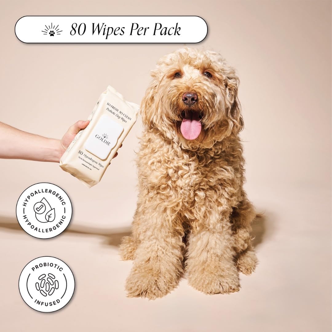 Goldie Dog Essentials Probiotic & Colloidal Oatmeal Dog Wipes for Paws, Skin Folds, Body & Bottom, Hypoallergenic, Fragrance-Free & Unscented, Plant-Based Dog Wipes, 80 Count