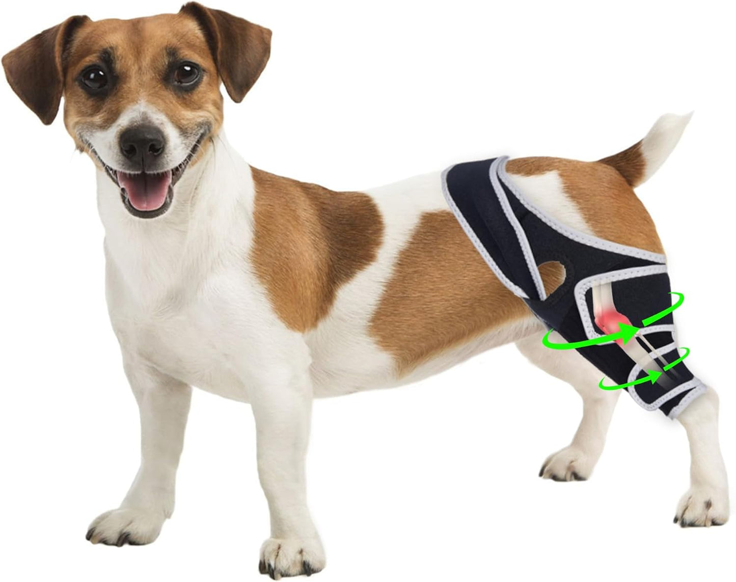Dog Knee Brace for Torn ACL Hind Leg, Dog Knee Braces with Cruciate Ligament Injuries Rear Legs or Front Legs Hip Dysplasia Support Brace for Back Legs, XS