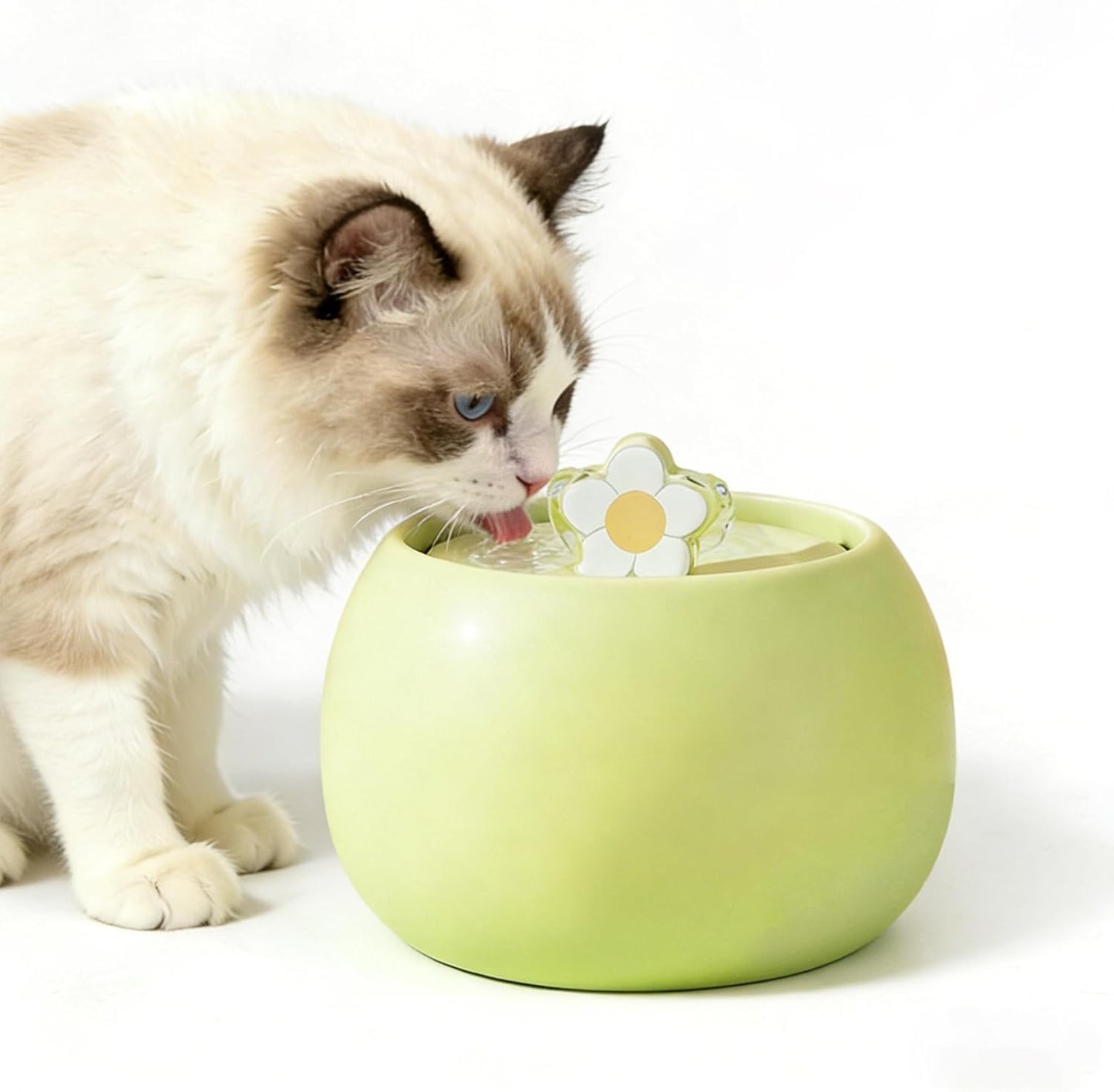 Ceramic Cat Water Dispenser, 50oz/1.5L Ultra-Silent Automatic Water Bowl Dispenser for Cats Pet Drinking Fountain Indoor with Cute Design Activated Carbon Filter Perfect for Cat (Green)
