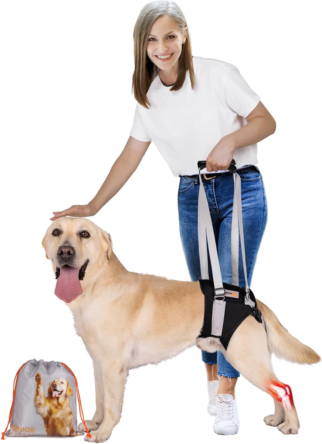 Dog Lift Harness for Medium Dogs,Dog Sling for Back Legs,with Handle,Rear Leg Support/Walk/Up Stairs/Dogs Joint Injuries/Arthritis
