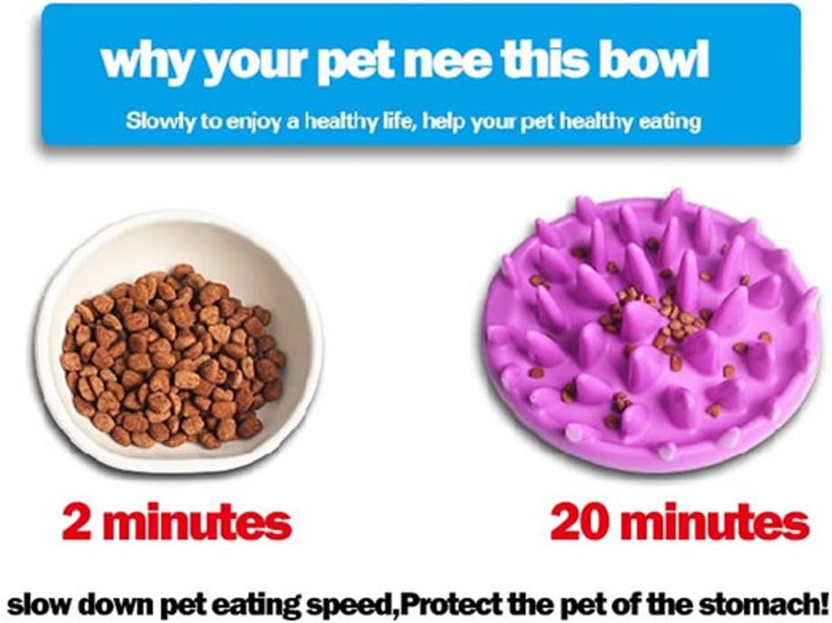 Cat Catch Interactive Feeder Bowl - Slow Feed Anti-gulping Bloat Stop Pet Bowl - Cat Feeding Bowls