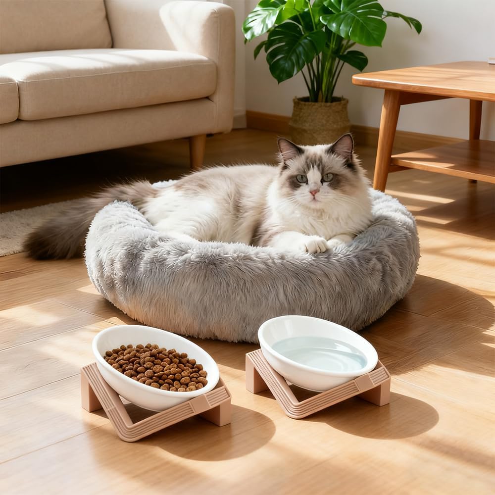 Elevated Cat Bowls for Food and Water, 2Pcs Raised Cat Food Bowls with Stand, 15° Slanted Ceramics Pet Dishes, Anti-Vomit Neck Protection Dog Water Bowls for Cats, Puppies