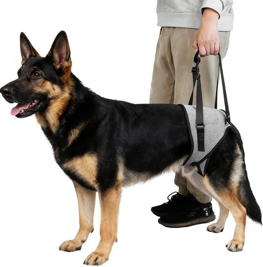 Dog Lift Harness for Dogs, Support Harness for Back Legs, Adjustable Rear Support Harness Grey Large